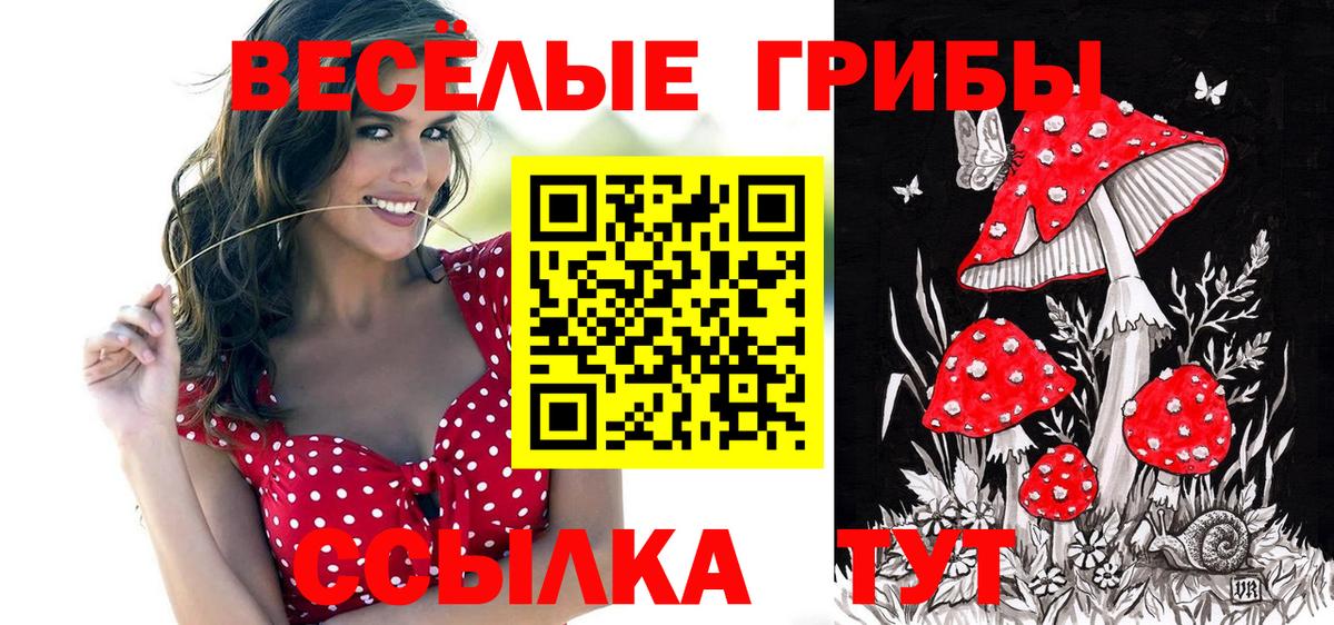 Псилоцибиновые грибы прущие грибы  Псилоцибиновые грибы мухоморы  Дзержинский  Вход с VPN 