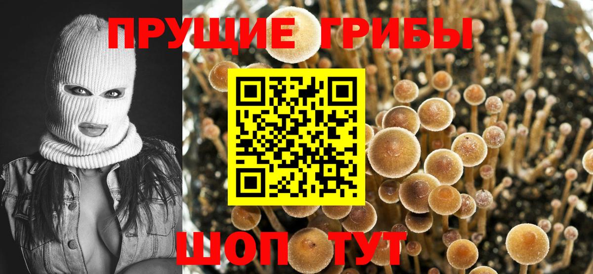 Дзержинский  Вход с VPN  Бошки Шишки  Меф МЯУ МЯУ   ГАШИШ  Альфа ПВП СК  